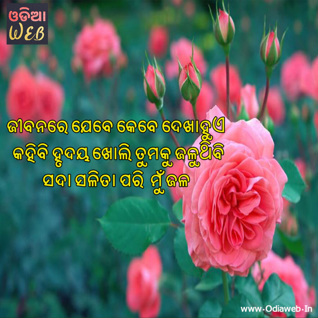 Odia Sad Sms