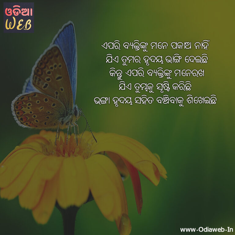 Top-5 Best Dhoka Sms