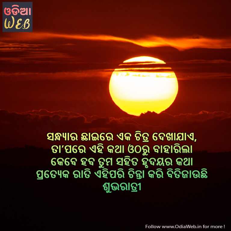 New Odia Good Night Sms Sandhyara Chhaire Eka Chitra Dekhajae good night odia Sms