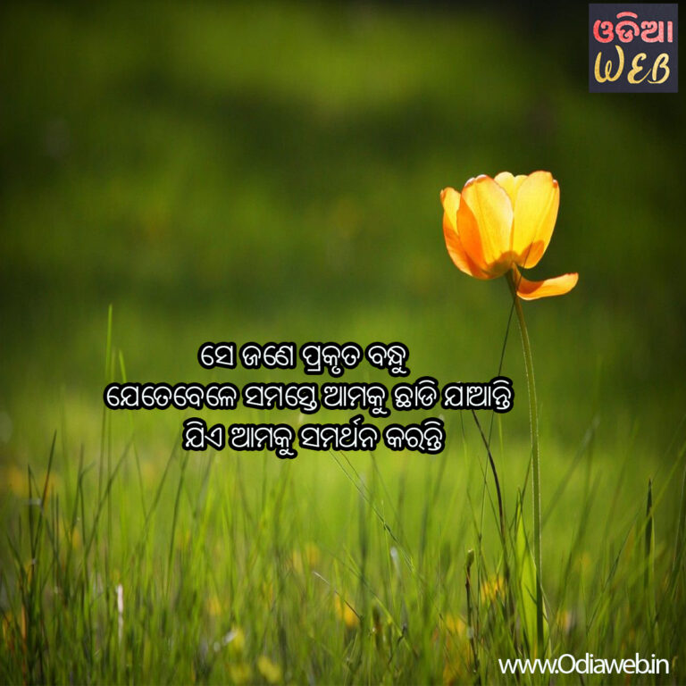 New Top-5 Odia Sms For Friendship Top-5 Odia latest friendship Sms..