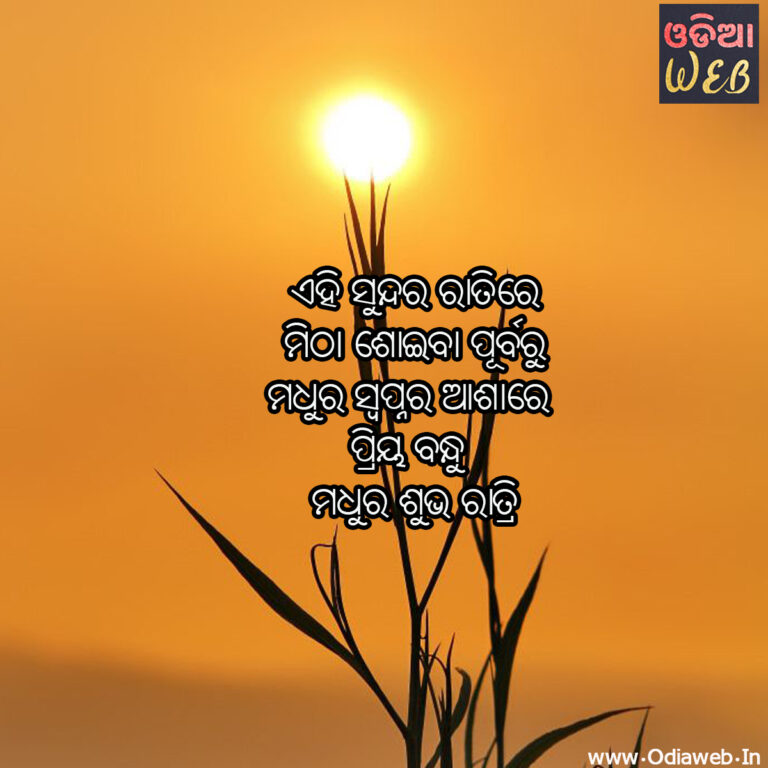 Top-5 Odia Good Night Sms