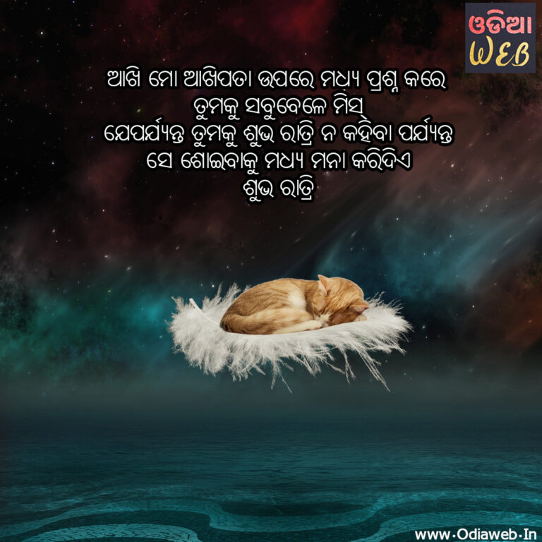 New Odia Top-5 Good Night Sms Toop-5 Odia good Night sms