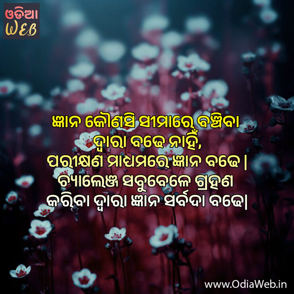 New Odia Quotes