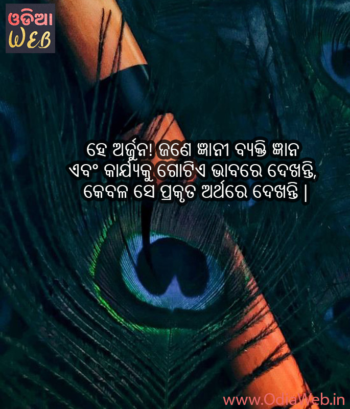 New Odia Krushna Quotes