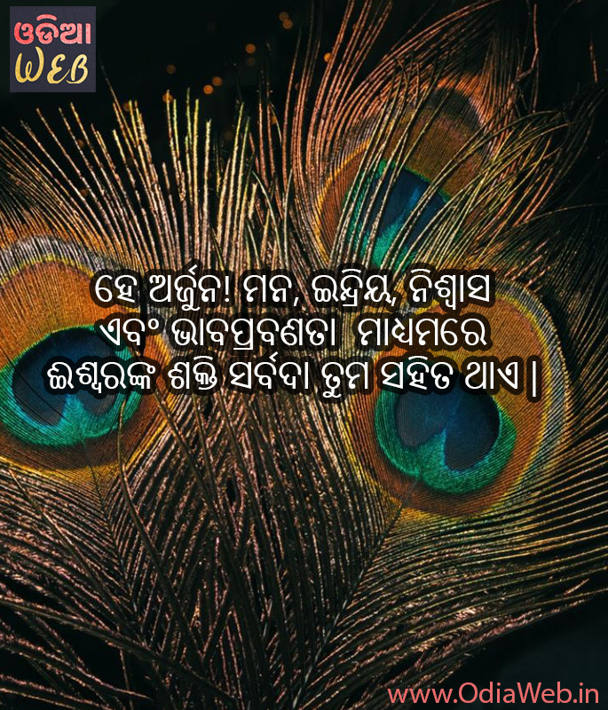 New Odia Quotes