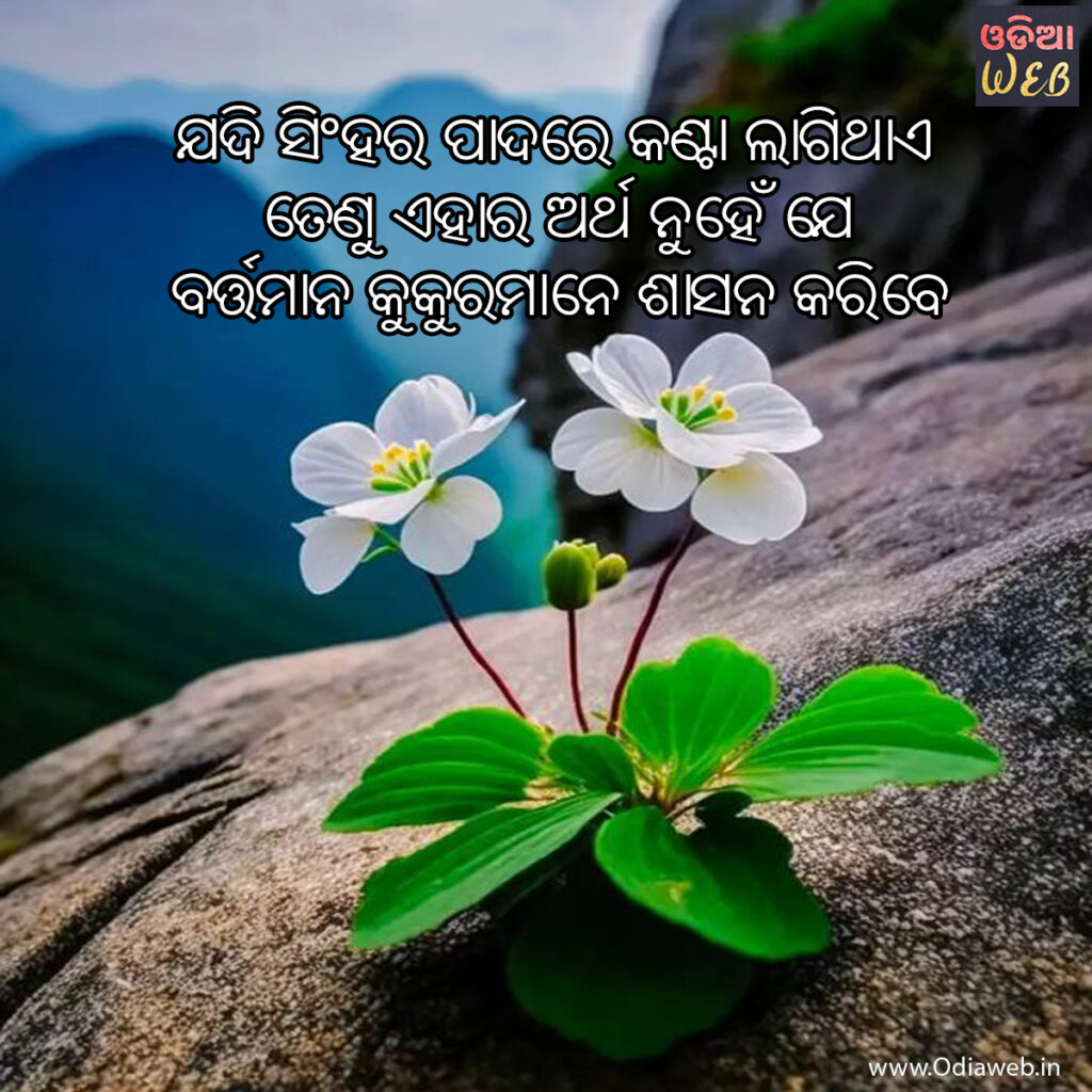 Latest Odia Sms