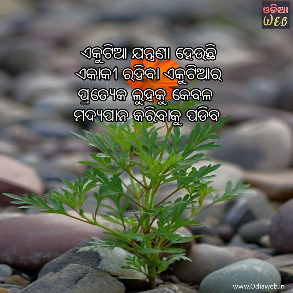 New Latest Odia Sms.