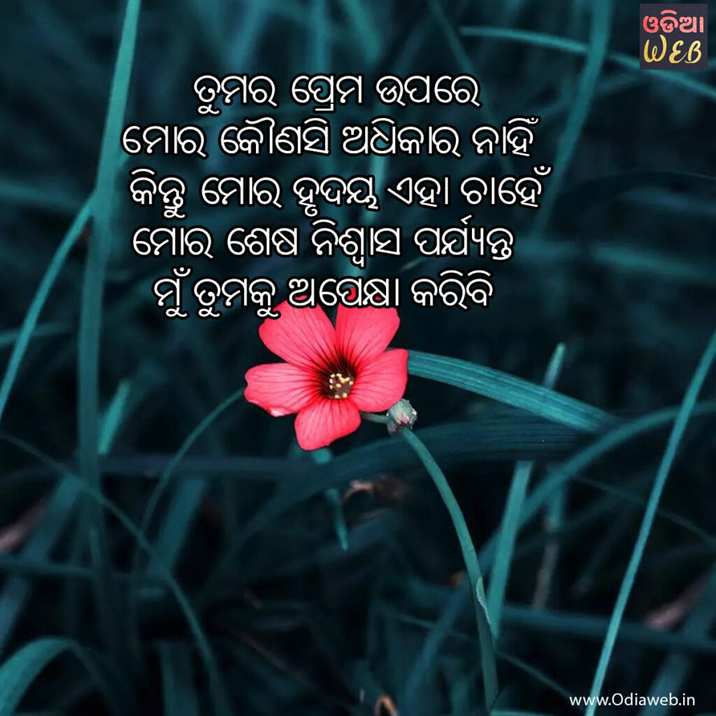 Odia New Sayari