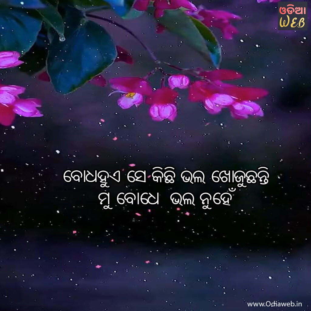 New Odia Sayari