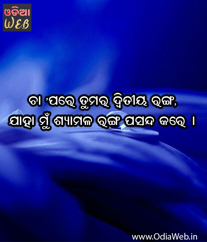 Odia Quotes 