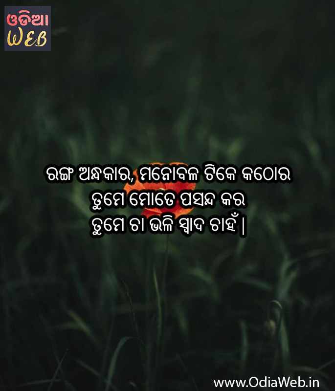 Odia Quotes 