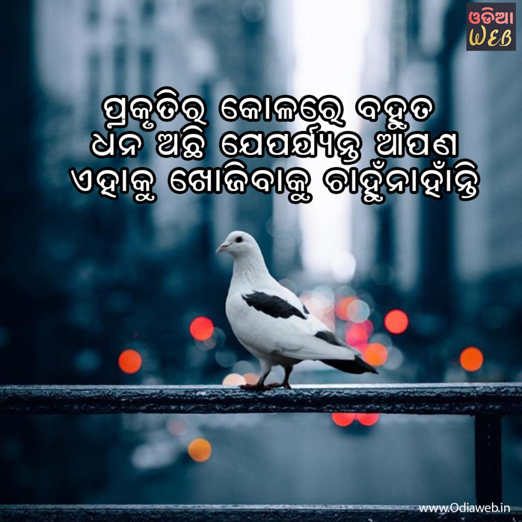 Odia Nature Sms