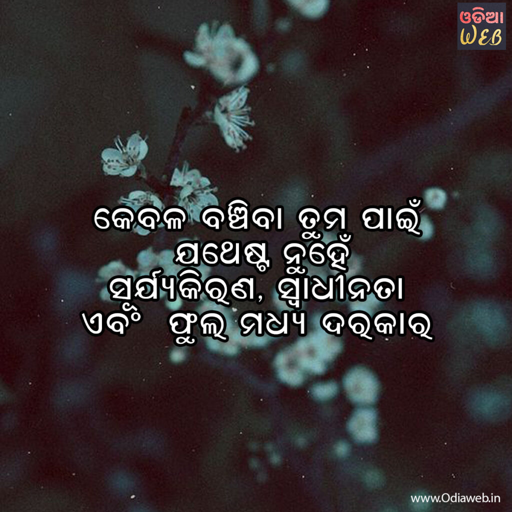 Odia Nature Sms