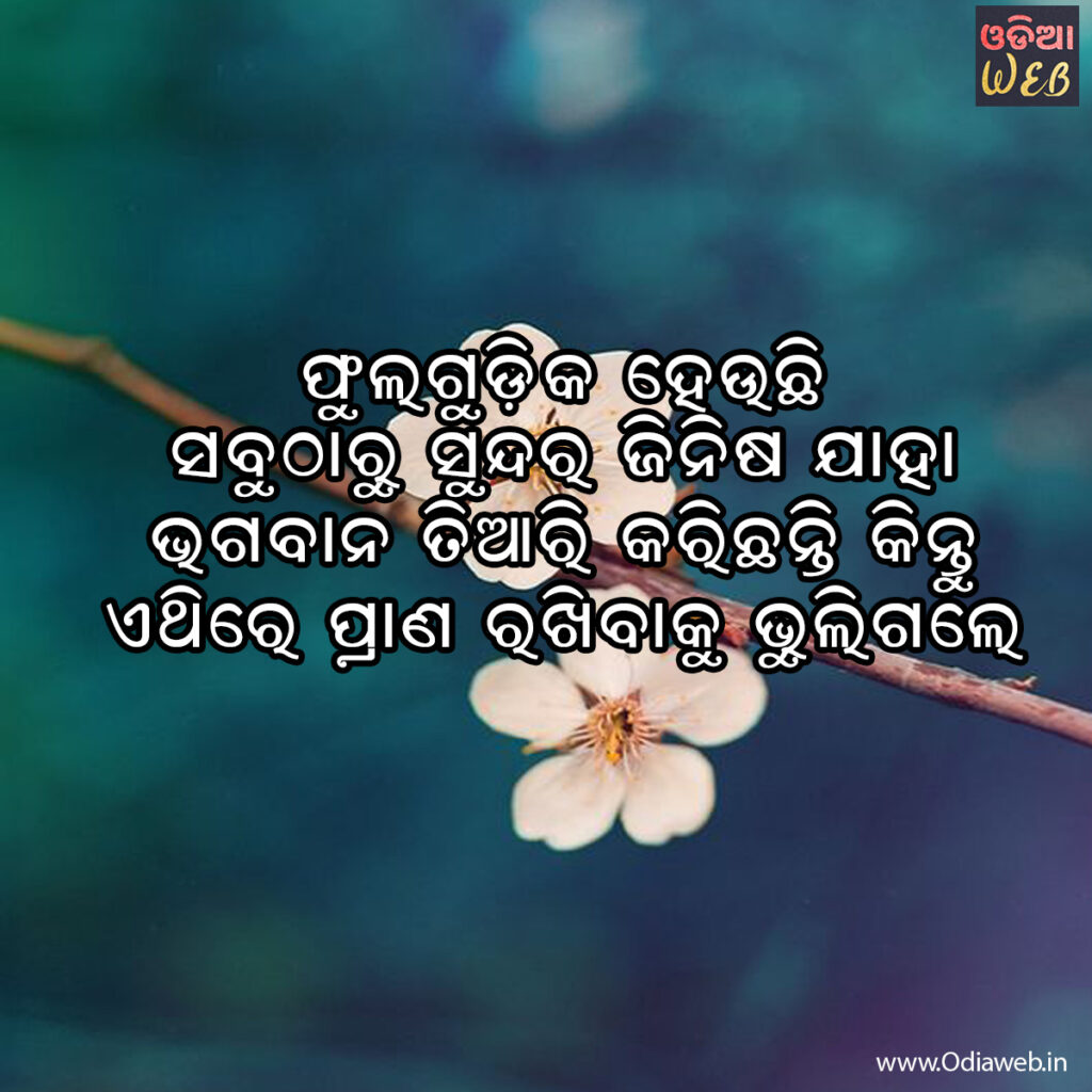 Odia Sms