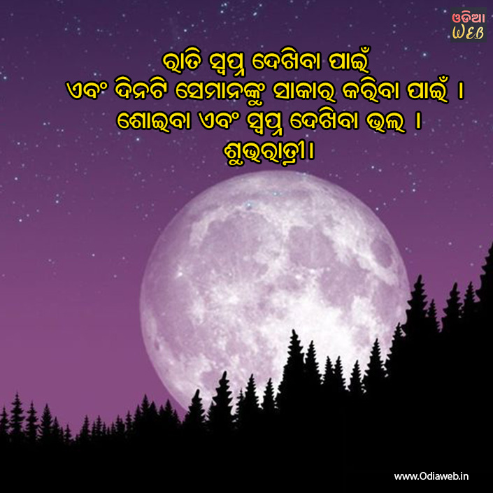 Odia Good Night Sms