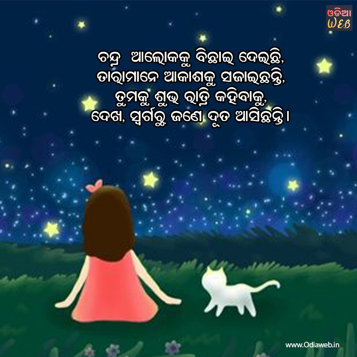 Odia Good Night Sms