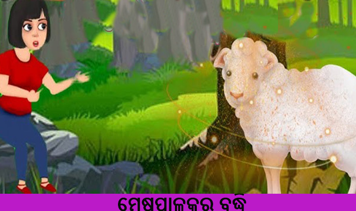 Odia Short Story Mesha Palakara Budhi