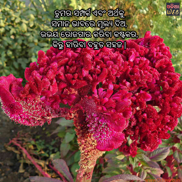 Odia Motivational sms