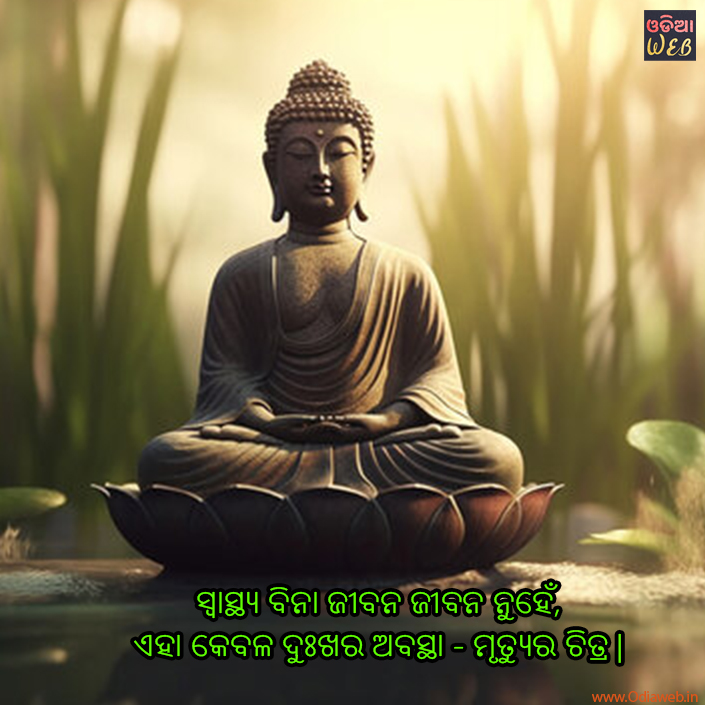 Budha Quotes