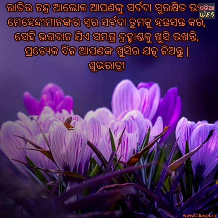 Best Odia Sms