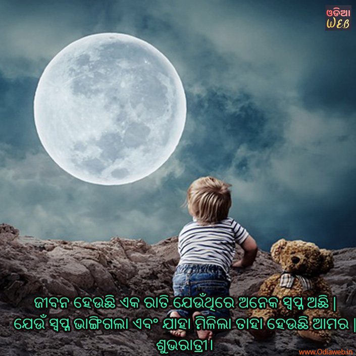 Best odia Good Night Sms