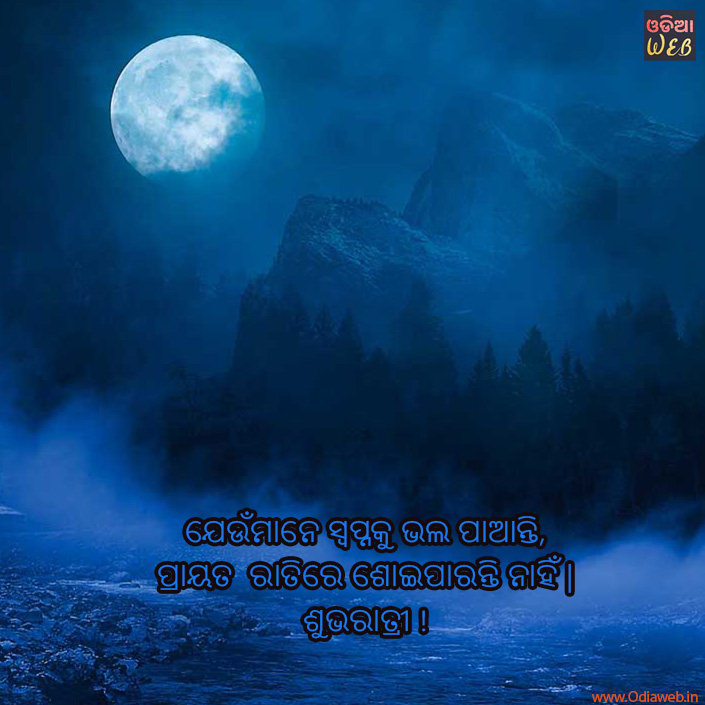 Odia Good Night Sms