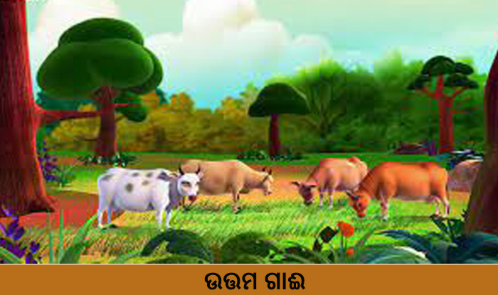 Odia Short Story Uttama Gai